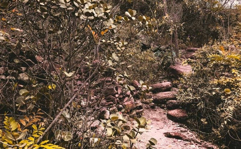 Cachoeira do Sossego e Ribeirão do Meio - foto 4