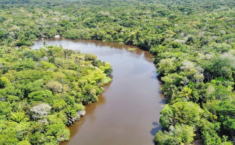 Buggy Sapiranga Tour - foto 4
